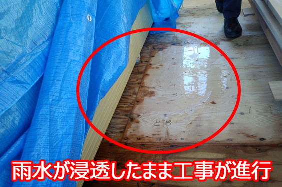 構造用合板/雨水浸透