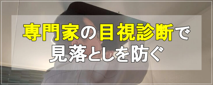 専門家の目視診断で見落としを防ぐ